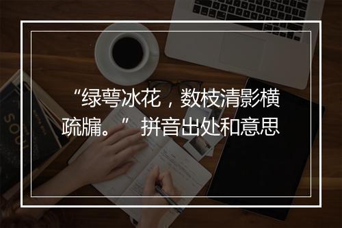 “绿萼冰花，数枝清影横疏牖。”拼音出处和意思