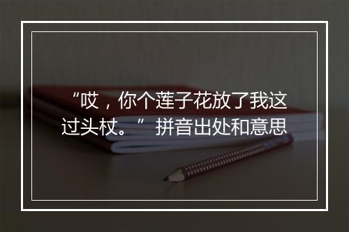 “哎，你个莲子花放了我这过头杖。”拼音出处和意思