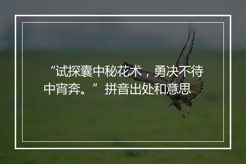 “试探囊中秘花术，勇决不待中宵奔。”拼音出处和意思