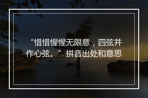 “惜惜惺惺无限意，四弦并作心弦。”拼音出处和意思