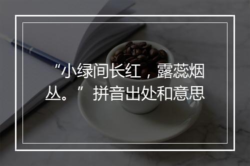 “小绿间长红，露蕊烟丛。”拼音出处和意思