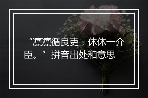 “凛凛循良吏，休休一介臣。”拼音出处和意思