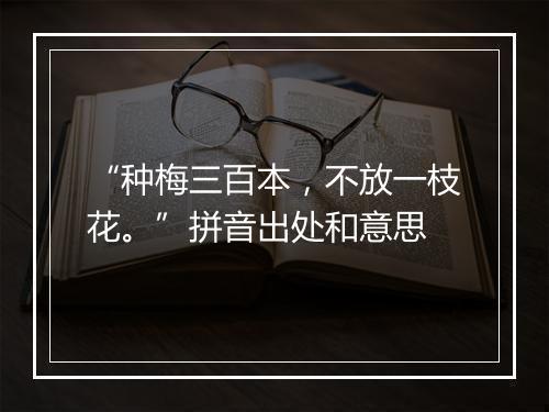 “种梅三百本，不放一枝花。”拼音出处和意思