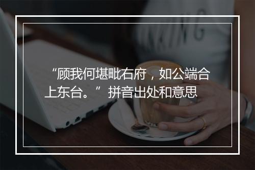 “顾我何堪毗右府，如公端合上东台。”拼音出处和意思