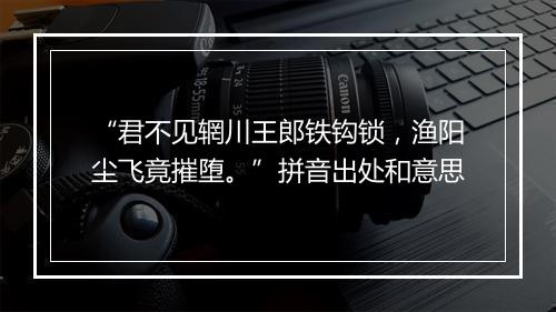 “君不见辋川王郎铁钩锁，渔阳尘飞竟摧堕。”拼音出处和意思