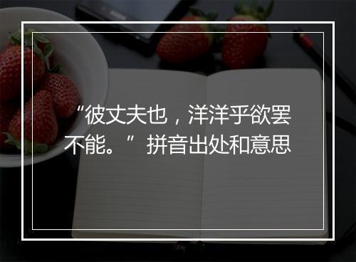 “彼丈夫也，洋洋乎欲罢不能。”拼音出处和意思