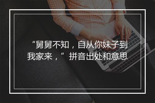 “舅舅不知，自从你妹子到我家来，”拼音出处和意思