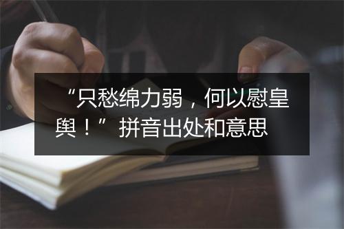 “只愁绵力弱，何以慰皇舆！”拼音出处和意思