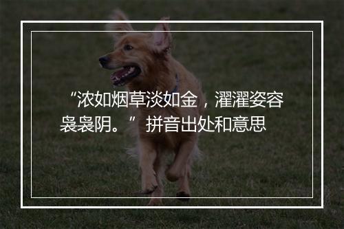 “浓如烟草淡如金，濯濯姿容袅袅阴。”拼音出处和意思