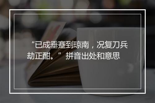 “已成垂蹇到琼南，况复刀兵劫正酣。”拼音出处和意思