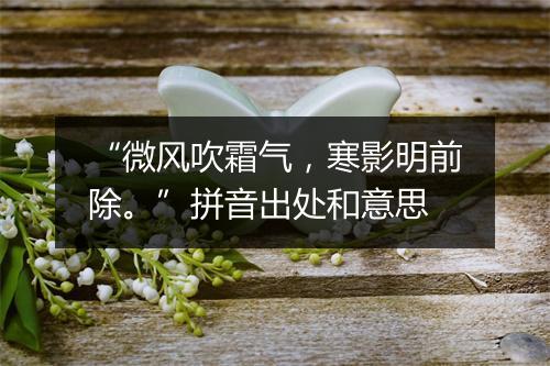 “微风吹霜气，寒影明前除。”拼音出处和意思