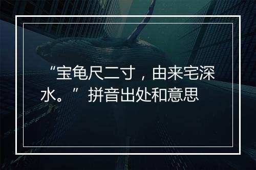 “宝龟尺二寸，由来宅深水。”拼音出处和意思