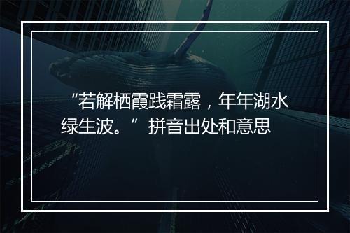 “若解栖霞践霜露，年年湖水绿生波。”拼音出处和意思