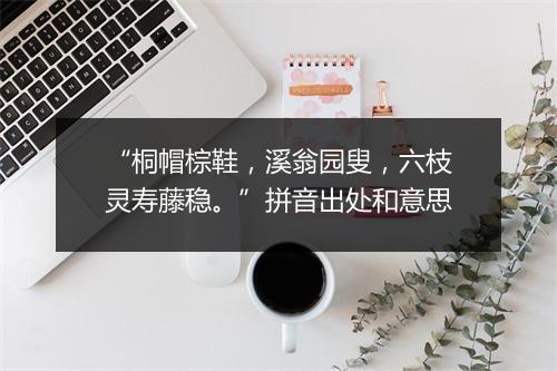 “桐帽棕鞋，溪翁园叟，六枝灵寿藤稳。”拼音出处和意思