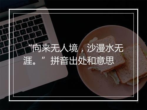 “向来无人境，沙漫水无涯。”拼音出处和意思