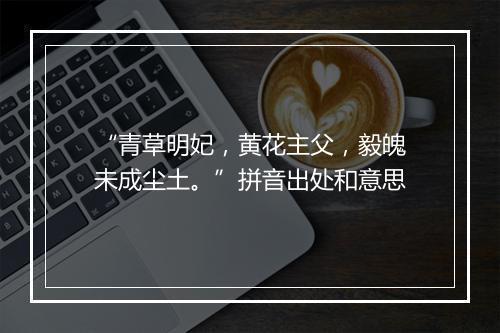 “青草明妃，黄花主父，毅魄未成尘土。”拼音出处和意思