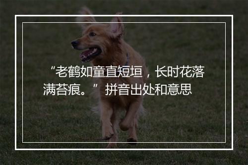 “老鹤如童直短垣，长时花落满苔痕。”拼音出处和意思