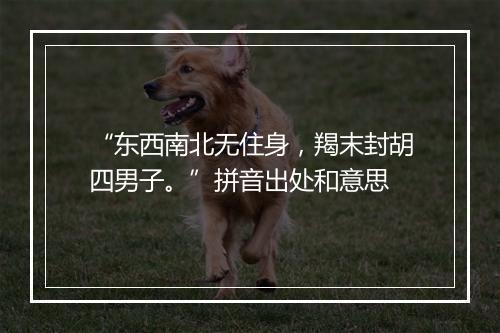 “东西南北无住身，羯末封胡四男子。”拼音出处和意思