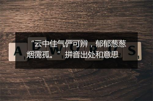 “云中佳气俨可辨，郁郁葱葱烟霭孤。”拼音出处和意思