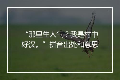 “那里生人气？我是村中好汉。”拼音出处和意思