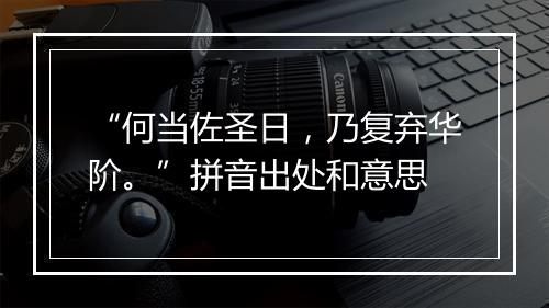 “何当佐圣日，乃复弃华阶。”拼音出处和意思