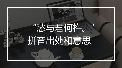 “愁与君何杵。”拼音出处和意思