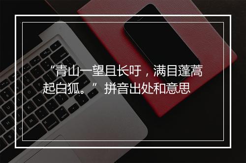 “青山一望且长吁，满目蓬蒿起白狐。”拼音出处和意思