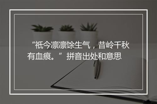 “祇今凛凛馀生气，昔岭千秋有血痕。”拼音出处和意思