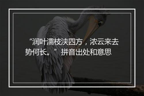 “润叶濡枝浃四方，浓云来去势何长。”拼音出处和意思