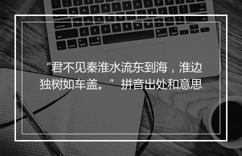 “君不见秦淮水流东到海，淮边独树如车盖。”拼音出处和意思