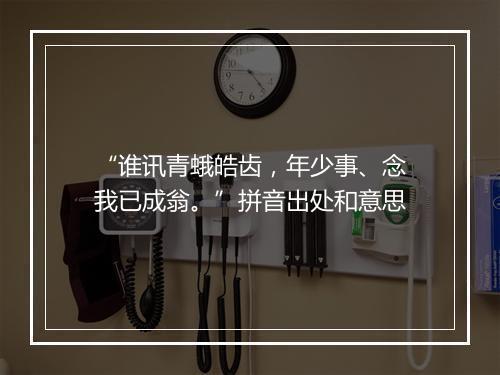 “谁讯青蛾皓齿，年少事、念我已成翁。”拼音出处和意思