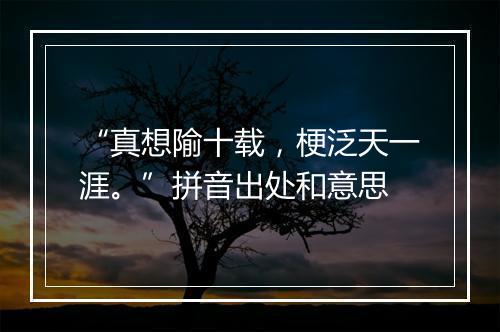 “真想隃十载，梗泛天一涯。”拼音出处和意思