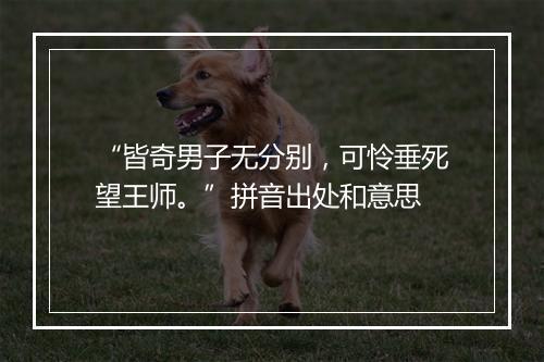 “皆奇男子无分别，可怜垂死望王师。”拼音出处和意思