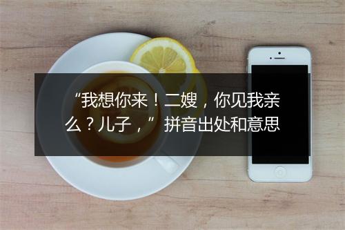 “我想你来！二嫂，你见我亲么？儿子，”拼音出处和意思