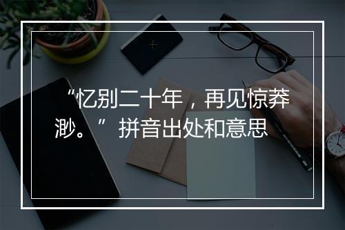 “忆别二十年，再见惊莽渺。”拼音出处和意思