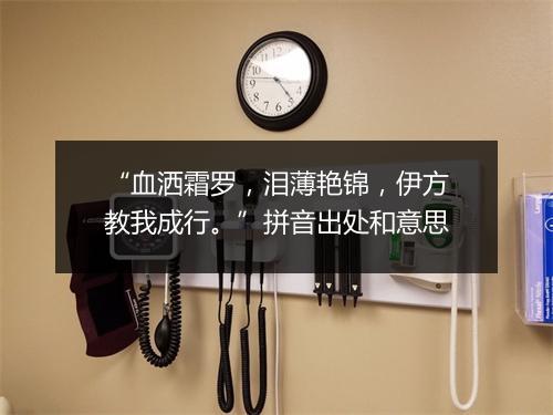 “血洒霜罗，泪薄艳锦，伊方教我成行。”拼音出处和意思