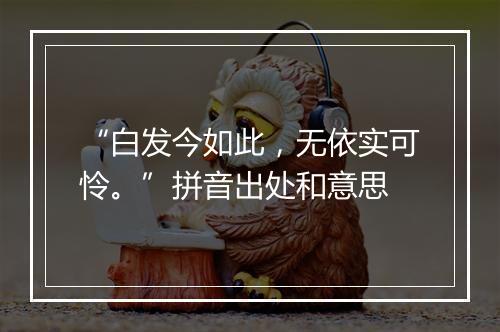 “白发今如此，无依实可怜。”拼音出处和意思