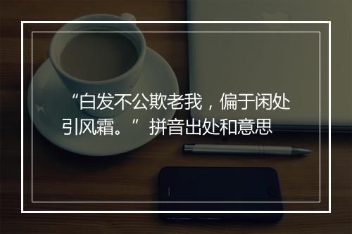 “白发不公欺老我，偏于闲处引风霜。”拼音出处和意思