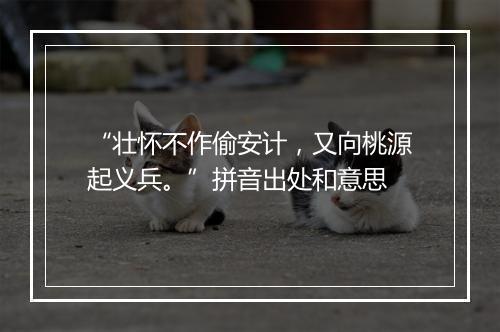 “壮怀不作偷安计，又向桃源起义兵。”拼音出处和意思