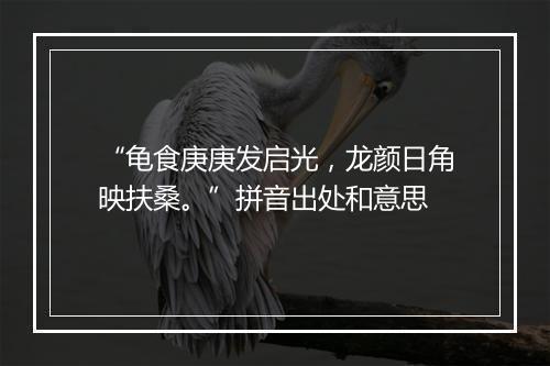 “龟食庚庚发启光，龙颜日角映扶桑。”拼音出处和意思