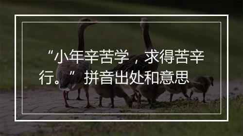 “小年辛苦学，求得苦辛行。”拼音出处和意思