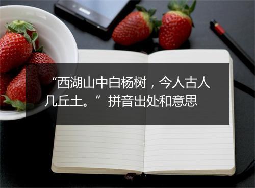 “西湖山中白杨树，今人古人几丘土。”拼音出处和意思