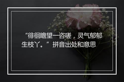 “徘徊瞻望一咨嗟，灵气郁郁生枝丫。”拼音出处和意思