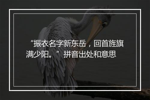 “振衣名字新东岳，回首旌旗满少阳。”拼音出处和意思