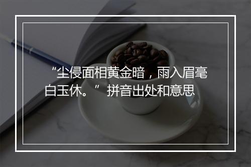 “尘侵面相黄金暗，雨入眉毫白玉休。”拼音出处和意思