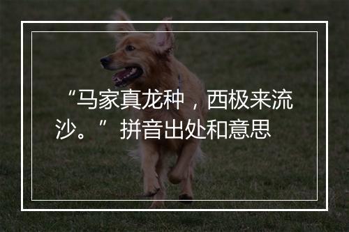 “马家真龙种，西极来流沙。”拼音出处和意思