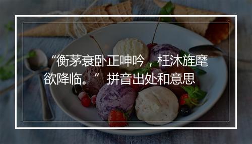 “衡茅衰卧正呻吟，枉沐旌麾欲降临。”拼音出处和意思