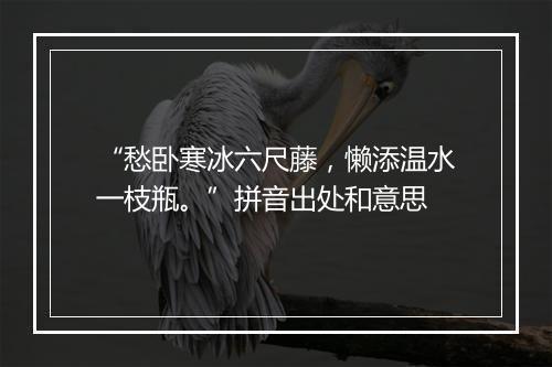 “愁卧寒冰六尺藤，懒添温水一枝瓶。”拼音出处和意思