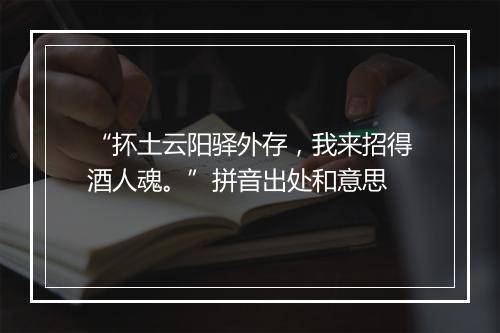 “抔土云阳驿外存，我来招得酒人魂。”拼音出处和意思