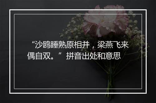 “沙鸥睡熟原相并，梁燕飞来偶自双。”拼音出处和意思